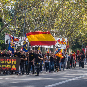  Die etwa 400 Teilnehmenden des Neonazi-Aufmarsches, die sich aus den Gruppen DN, Democracia Nacional Joven, AN, Division Europa, La Falange, Frente x España und NPE zusammensetzen, verteilten sich auf der Demonstration in vier fast gleich große Blöcke, was nicht nur der Sichtbarmachung der einzelnen Gruppen diente, sondern in erster Linie Produkt interner Streitigkeiten ist.