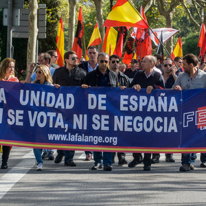  Die etwa 400 Teilnehmenden des Neonazi-Aufmarsches, die sich aus den Gruppen DN, Democracia Nacional Joven, AN, Division Europa, La Falange, Frente x España und NPE zusammensetzen, verteilten sich auf der Demonstration in vier fast gleich große Blöcke, was nicht nur der Sichtbarmachung der einzelnen Gruppen diente, sondern in erster Linie Produkt interner Streitigkeiten ist.