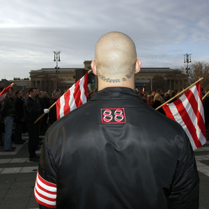 Unter dem Motto "day of honour" versammeln sich am 10.02.2007 über 1000 Neonazis aus ganz Europa auf dem Budapester Heldenplatz. Sie gedenken der letzten großen Schlacht der ungarischer Pfeilkreuzler, Waffen-SS und Wehrmachtssoldaten gegen die Rote Armee im Jahre 1944.