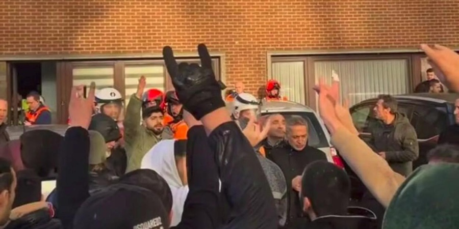 Belgien Graue Wölfe