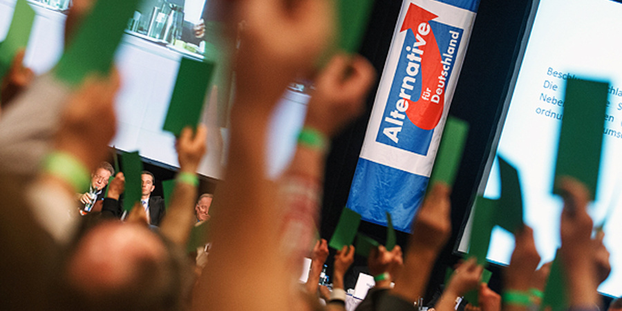 Flüchtlingsfeindliche AfD Demonstration.