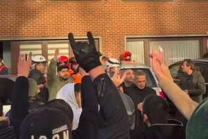 Belgien Graue Wölfe