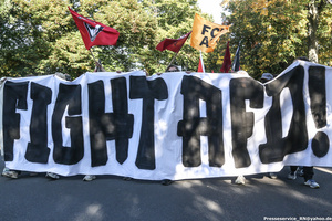 fight afd